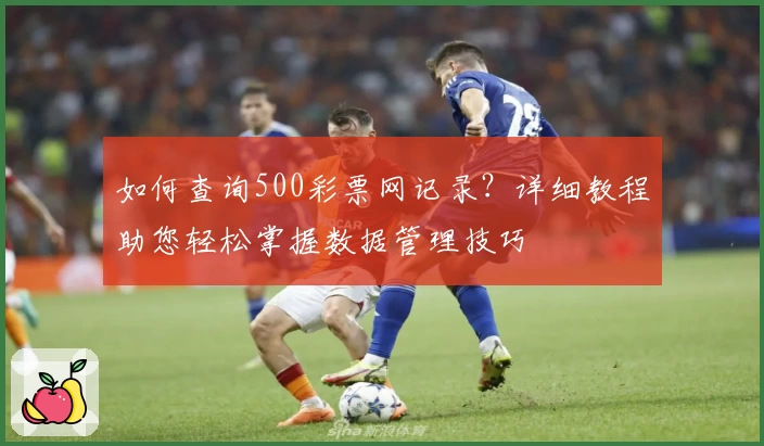 如何查询500彩票网记录？详细教程助您轻松掌握数据管理技巧