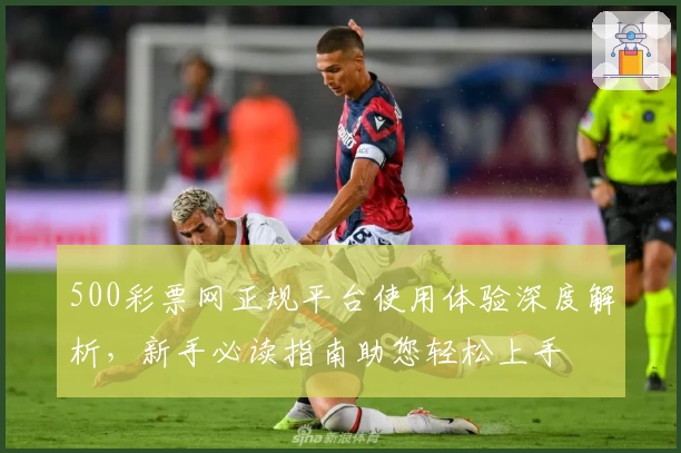 500彩票网正规平台使用体验深度解析，新手必读指南助您轻松上手