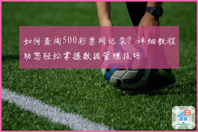 如何查询500彩票网记录？详细教程助您轻松掌握数据管理技巧