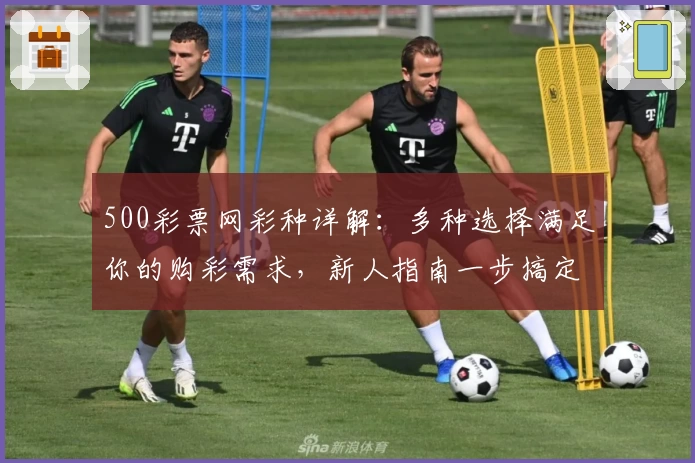 500彩票网彩种详解：多种选择满足你的购彩需求，新人指南一步搞定