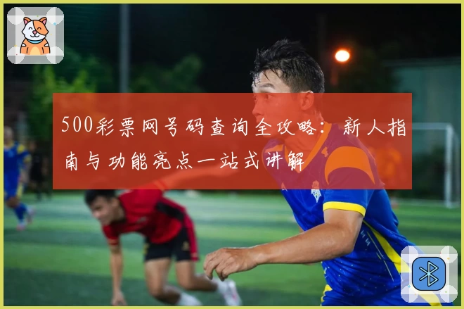 500彩票网号码查询全攻略：新人指南与功能亮点一站式讲解