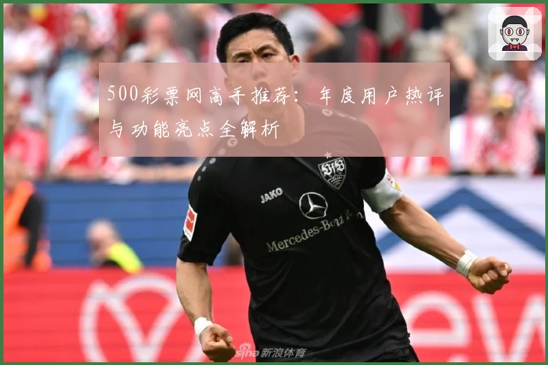 500彩票网高手推荐：年度用户热评与功能亮点全解析